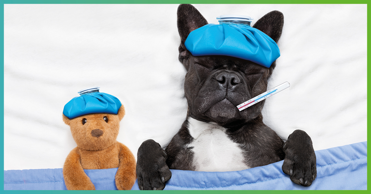 9_UVZ_Septiembre-FACEBOOK